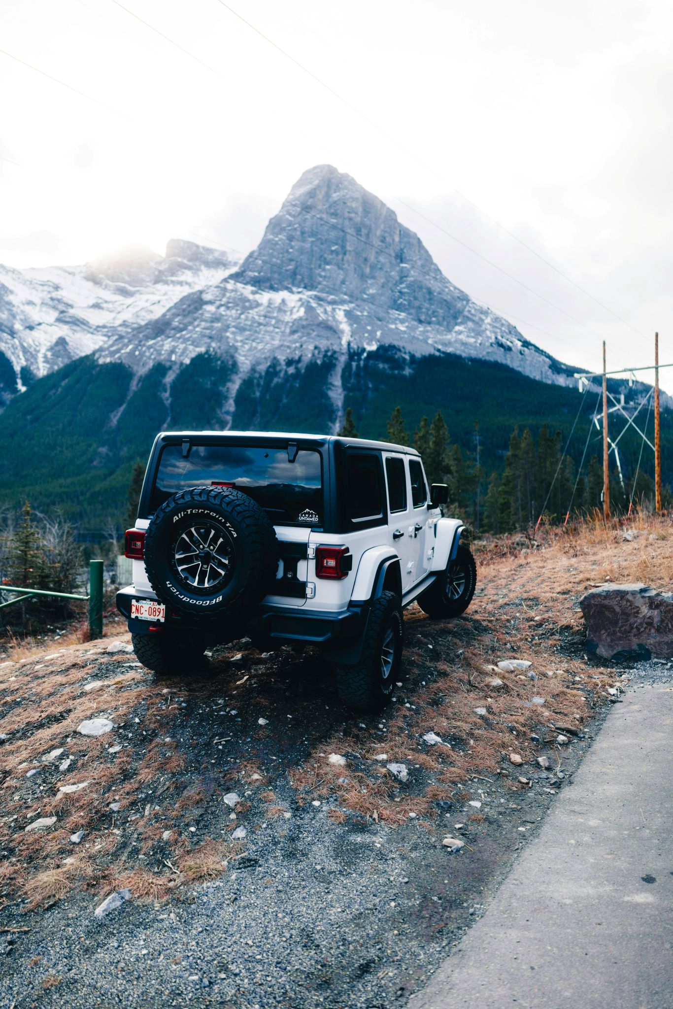 Photo-Ali Kazal-Unsplash